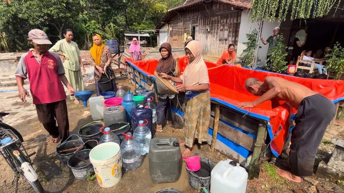 pati-siaga-kekeringan.webp