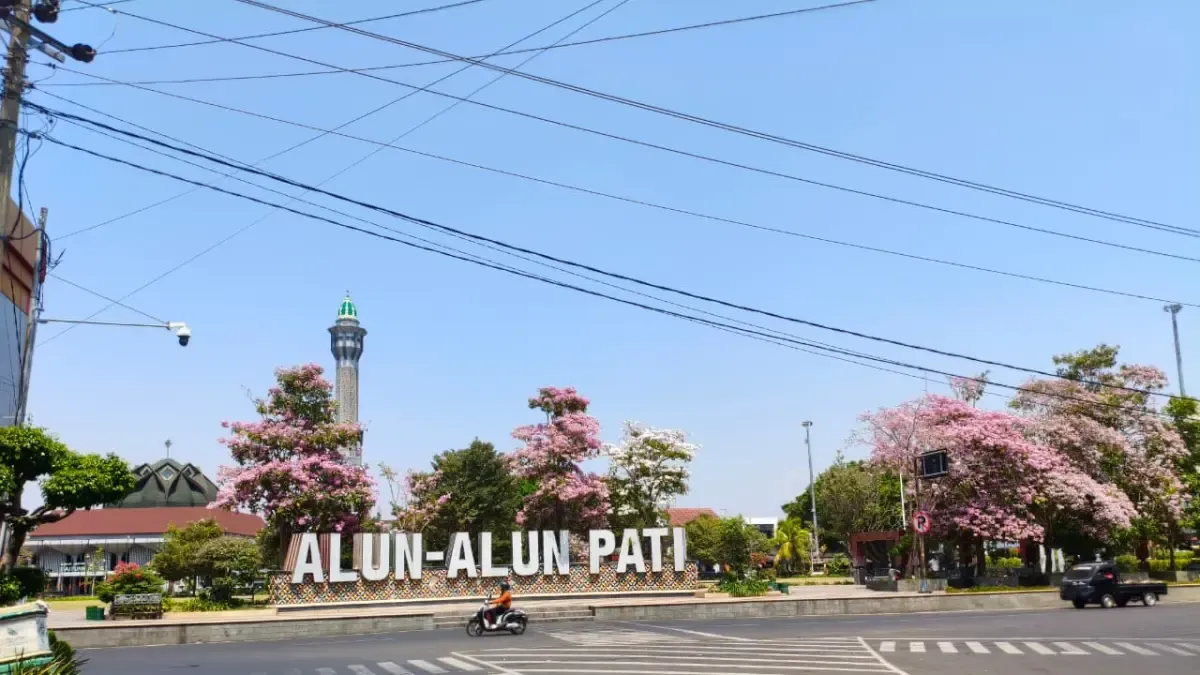 tabebuya-pati.webp